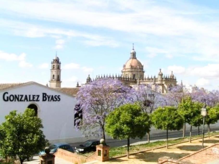 Апартаменты Apartamento Loft Jerez Buleria Херес-де-ла-Фронтера Экстерьер фото